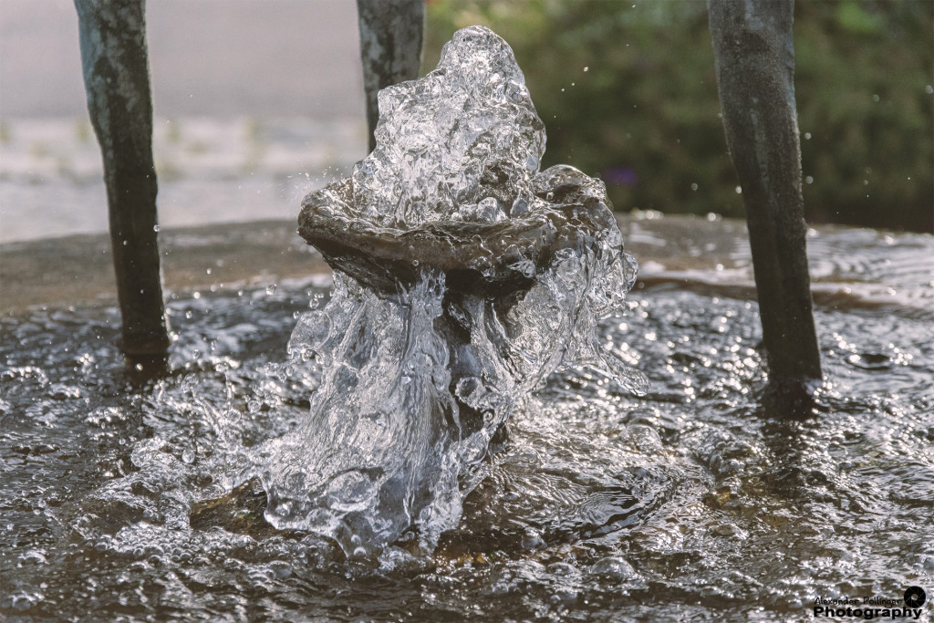 Wasser