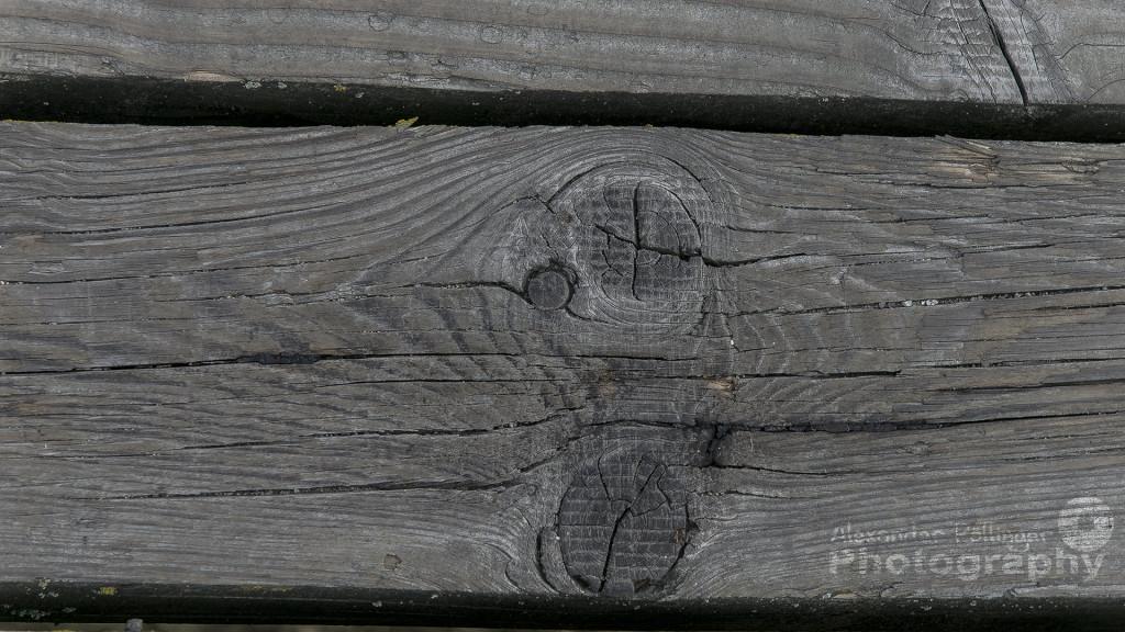 Holz