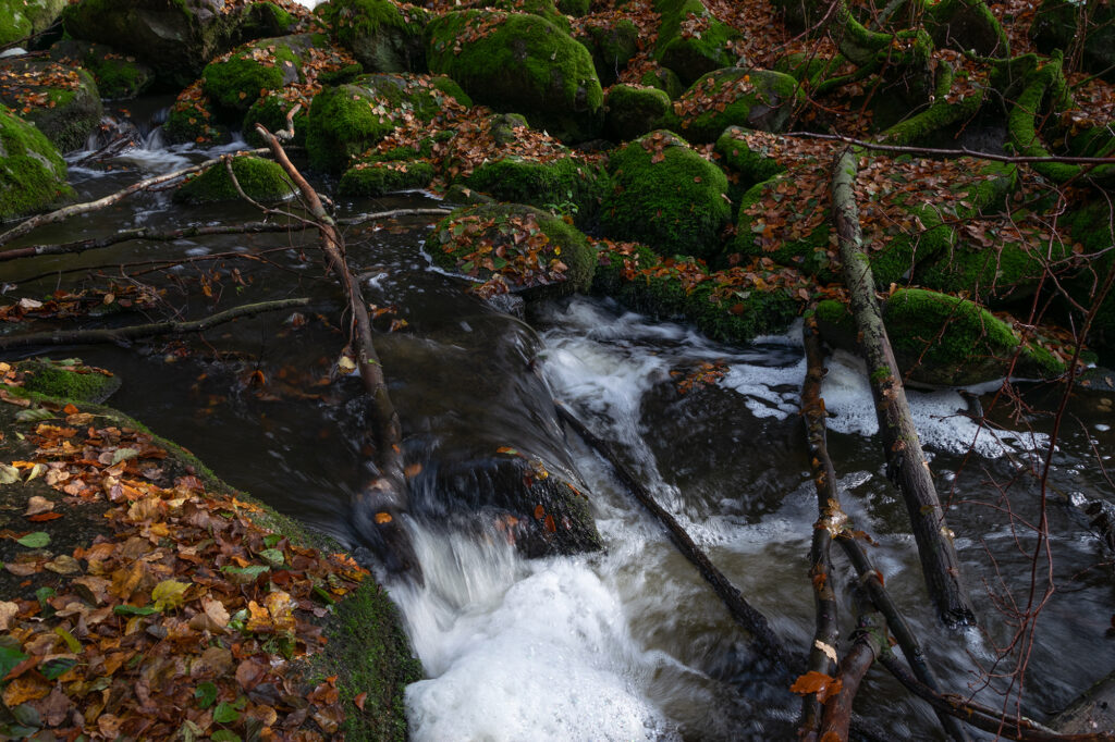 höllbachtal fotografie 2