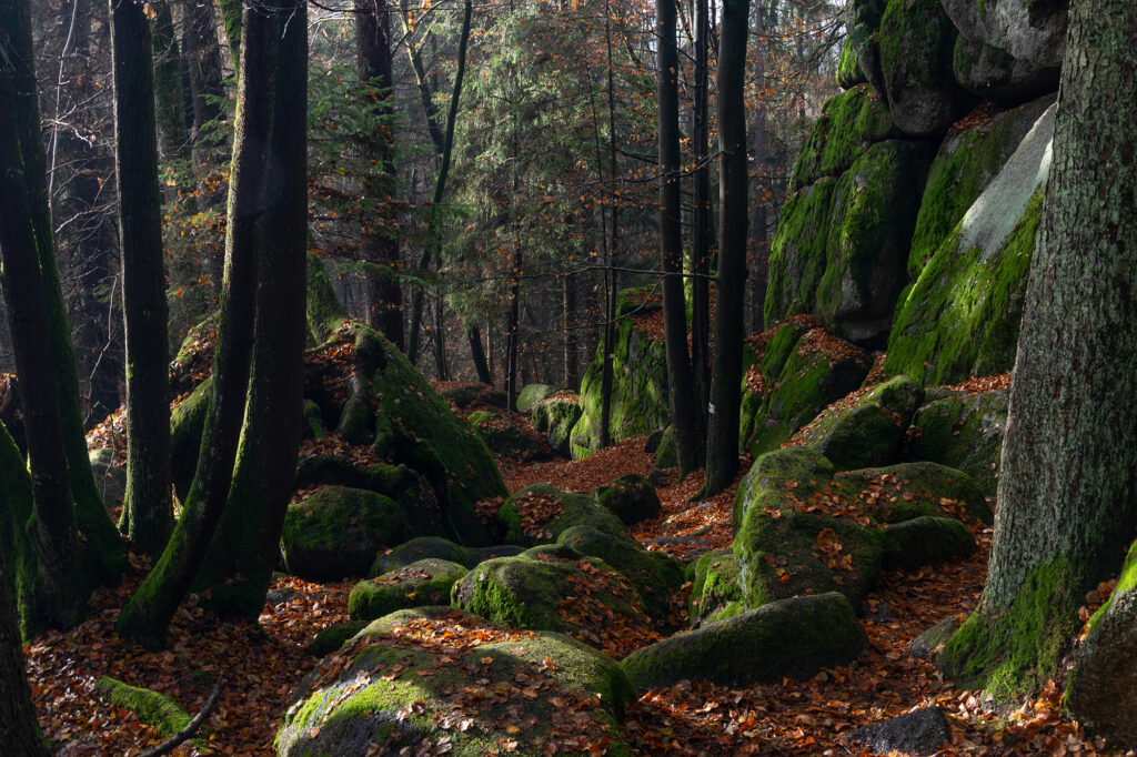 höllbachtal fotografie 3